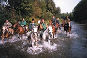 Reitferien im Salzkammergut: Ausritt am Attersee